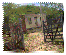 Descrição: C:\Users\w5nd6ws7\Desktop\Mª Leide alencar\Dados da pesquisa de campo, projeto Uso de geoprocessamento no diagnóstico da degradação da zona rural do municio de Sumé PB, Erinaldo Santos\Fotos de campo\1ª Visita\IMG_1753.JPG