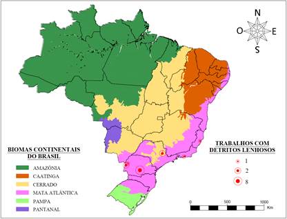 mapa brasil.png