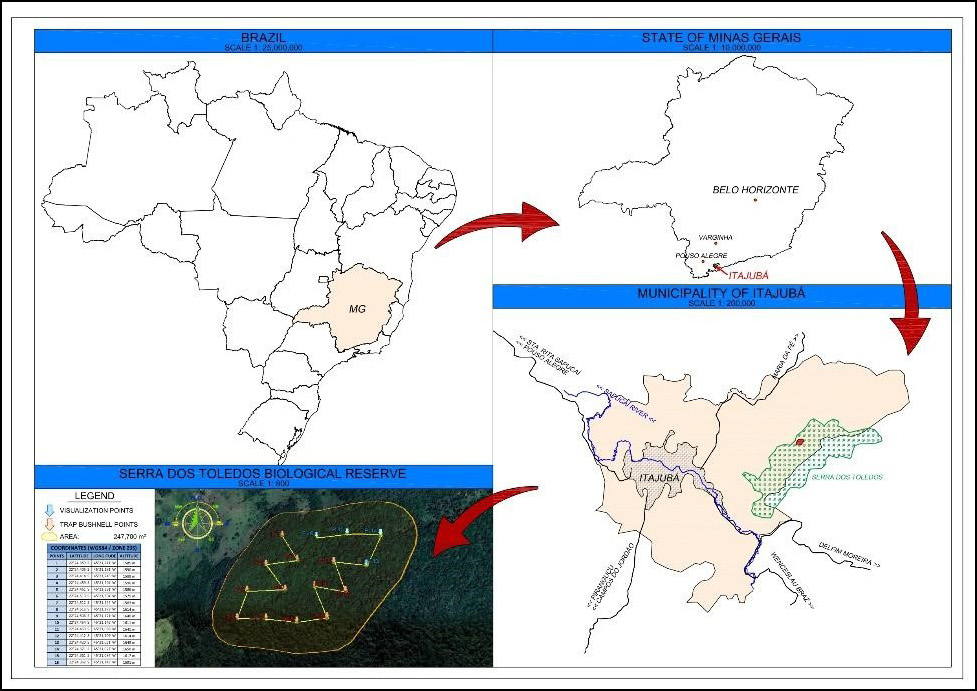 Biome Chooser - mcbebrasiloficial