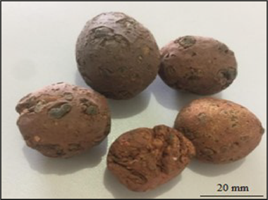 Comida em cima

Descrição gerada automaticamente com confiança baixa