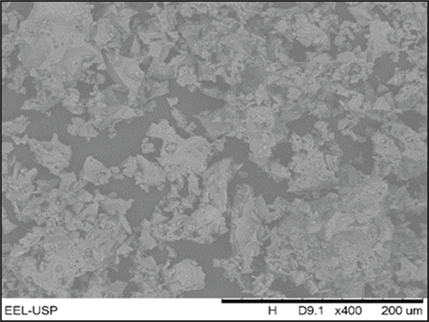 Foto em preto e branco

Descrição gerada automaticamente