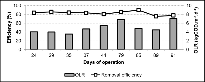 Gráfico, Gráfico de barras

Descrição gerada automaticamente