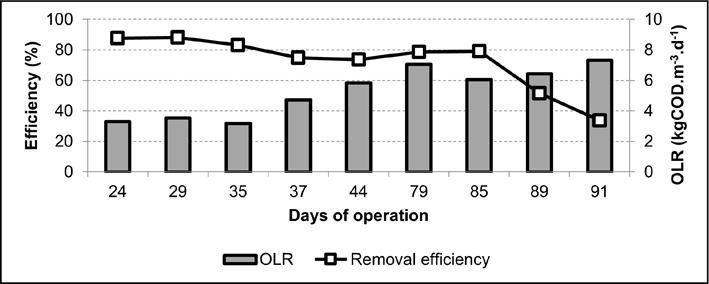 Gráfico, Gráfico de barras

Descrição gerada automaticamente