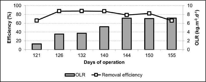 Gráfico, Gráfico de barras

Descrição gerada automaticamente