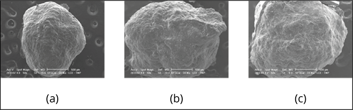 Foto em preto e branco

Descrição gerada automaticamente