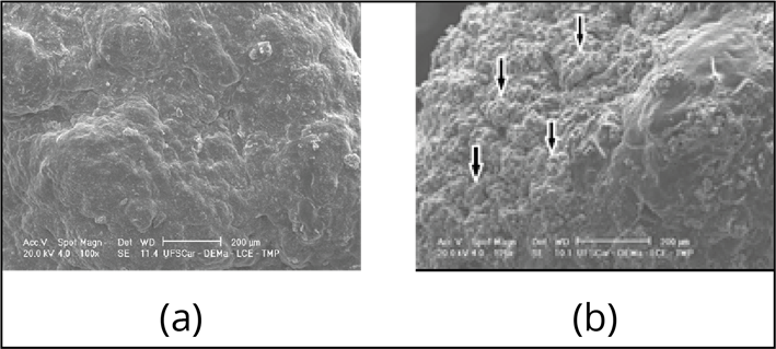 Interface gráfica do usuário

Descrição gerada automaticamente com confiança baixa