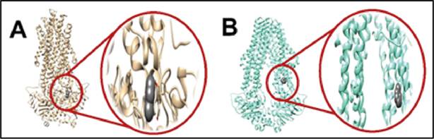 Diagrama

Descrição gerada automaticamente