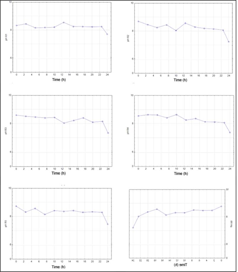 Gráfico, Gráfico de linhas

Descrição gerada automaticamente