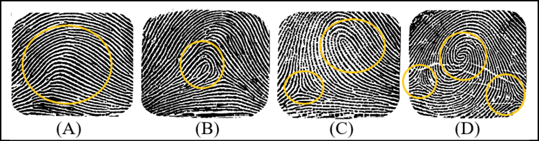 Tipos de impressões digitais