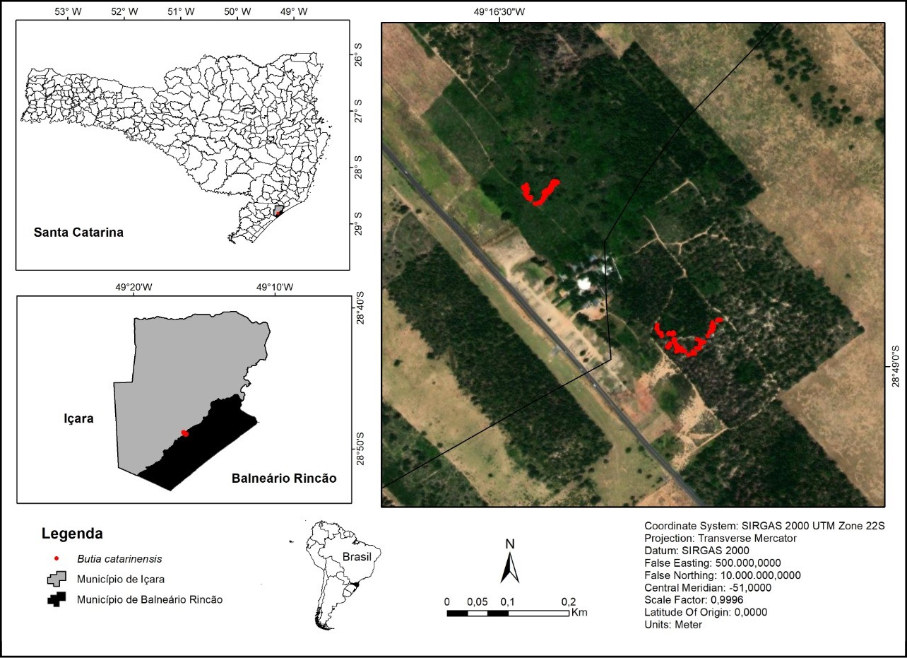 Mapa

Descrição gerada automaticamente