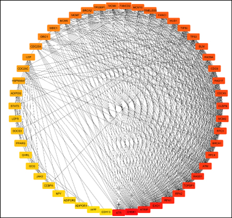 C:\Users\DEQ-UFSM\Downloads\Fig. 3 (300 DPI).png