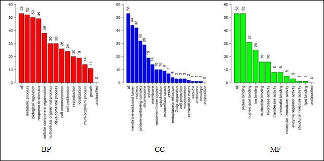 C:\Users\DEQ-UFSM\Downloads\Fig. 4 (300 DPI).png