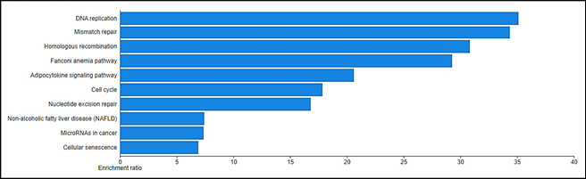 C:\Users\DEQ-UFSM\Downloads\Fig. 5 (300 DPI).png