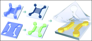 Graphical abstract: Unconventional micro-/nanofabrication technologies for hybrid-scale lab-on-a-chip