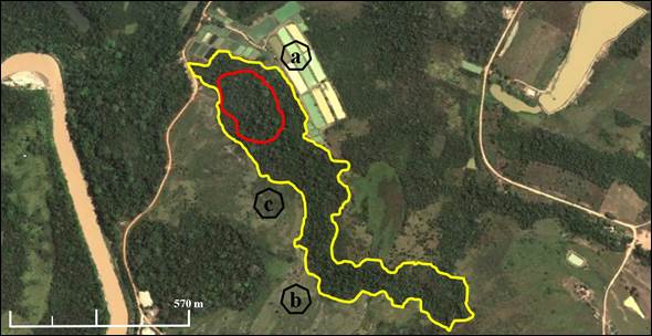 Mapa

Descrição gerada automaticamente