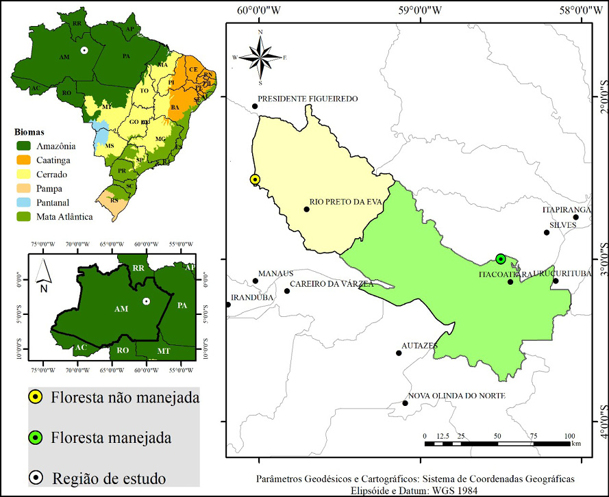 Mapa

Descrição gerada automaticamente