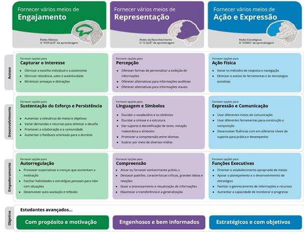 LIVE: DESENHO UNIVERSAL PARA A APRENDIZAGEM: EDUCAÇÃO PARA TODOS E PRÁTICAS  DE ENSINO INCLUSIVAS 