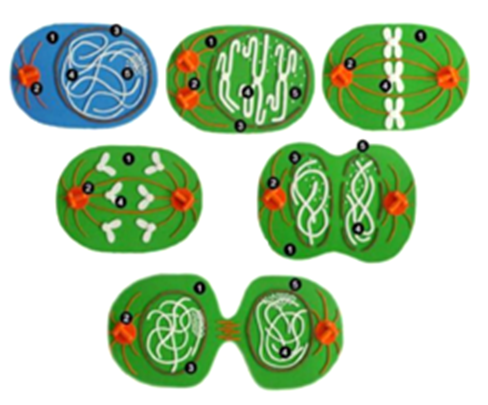 Desenho de personagens

Descrição gerada automaticamente com confiança baixa