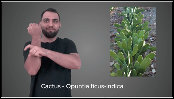 Homem com os braços para cima

Descrição gerada automaticamente com confiança média