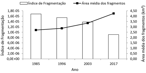 fig6-fragmentacao-amedia