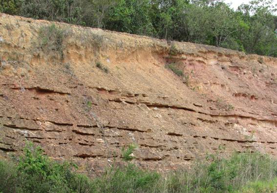 Caminho de pedras

Descrição gerada automaticamente