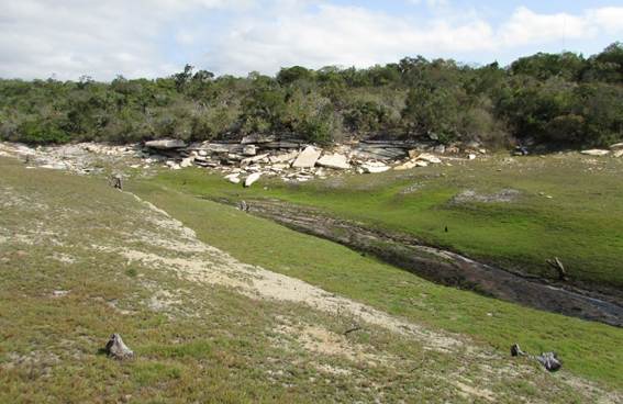 Campo gramado com árvores ao fundo

Descrição gerada automaticamente
