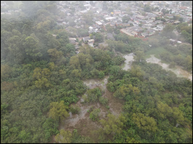 Montanha com árvores

Descrição gerada automaticamente