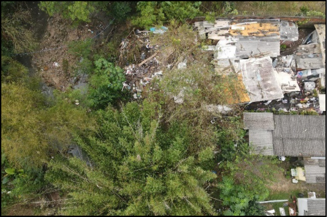 Árvores ao lado

Descrição gerada automaticamente com confiança média