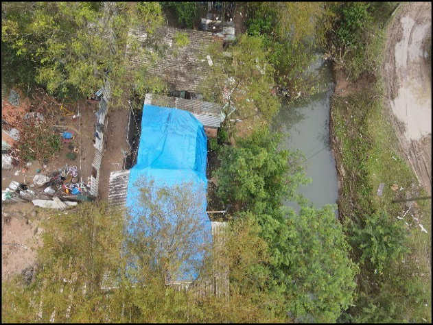 Desenho de uma árvore

Descrição gerada automaticamente com confiança baixa