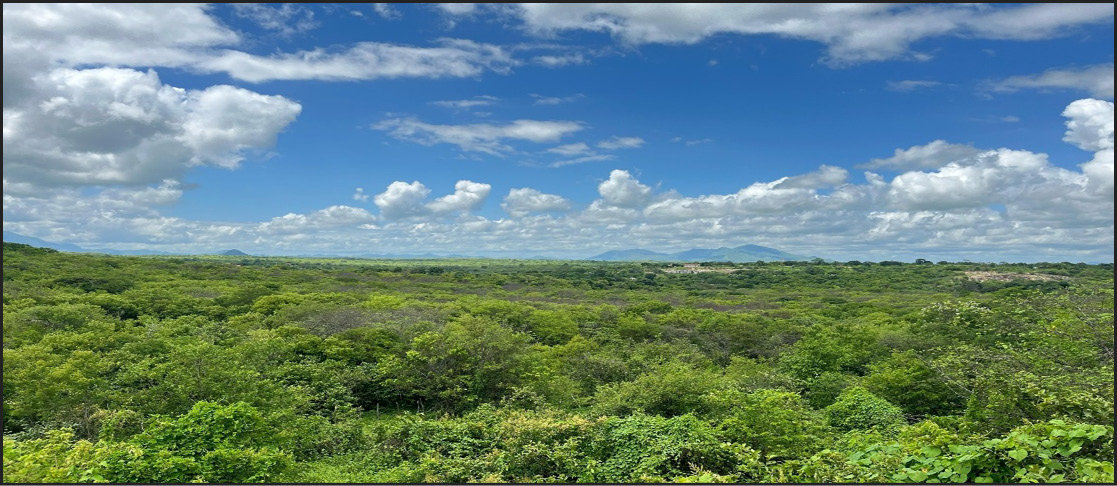 Vista de cima de campo e nuvens no céu