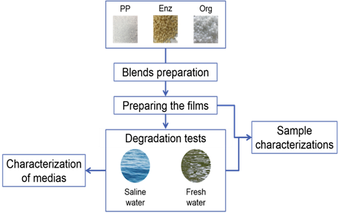 Uma imagem contendo texto, screenshot, rua

Descrição gerada automaticamente