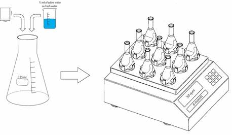 Uma imagem contendo texto, mapa, traçado

Descrição gerada automaticamente