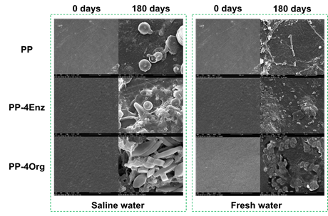Uma imagem contendo janela

Descrição gerada automaticamente