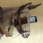 Resultado de imagem para cavalo com celulares Pawel Kuczynski