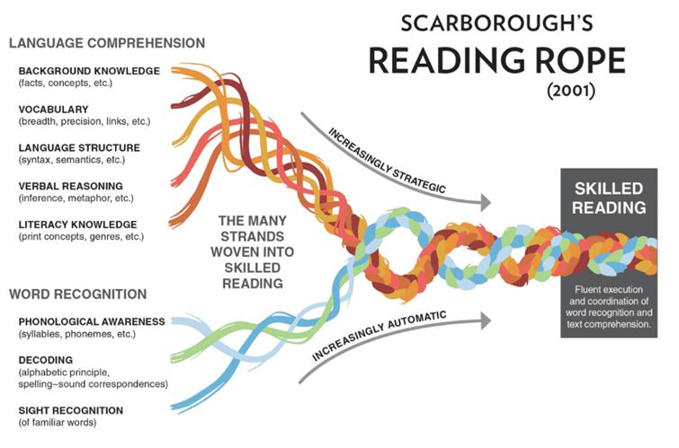 A diagram of a reading process

Description automatically generated