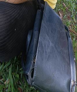 Pessoa sentada na grama

Descrição gerada automaticamente