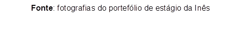 Fonte: fotografias do portefólio de estágio da Inês